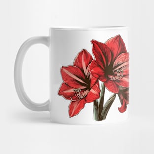 Amaryllis Red Flowers Mug